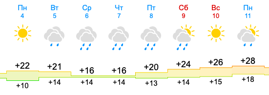 Фото Дожди с ветром и тепло до +28 придут в Новосибирск с 4 июля 2